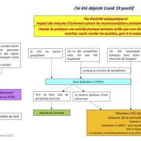 2022 02 02 synthèse activités après covid 19